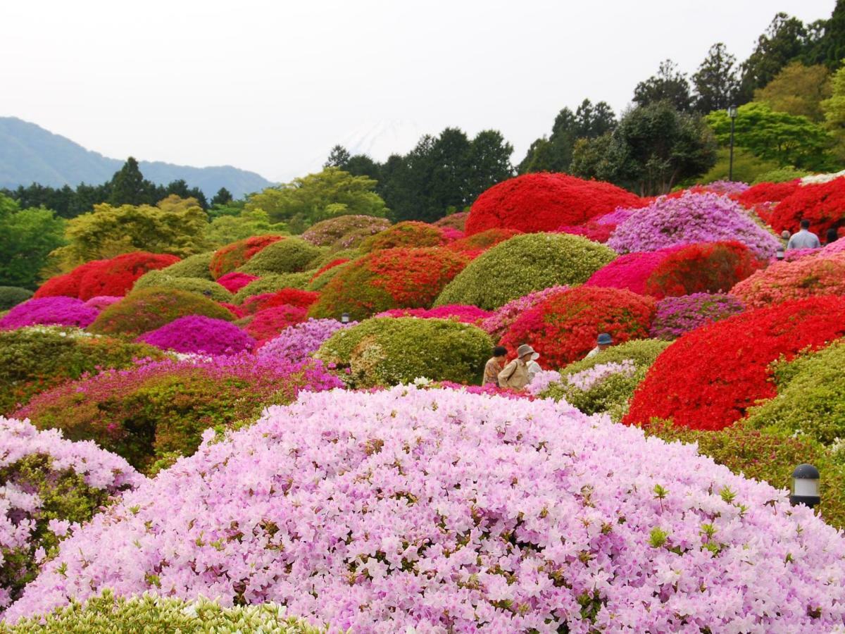 Taisho Modern Villa Zen Hakone Dış mekan fotoğraf